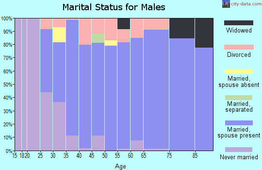 Zip code 34202 marital status for males