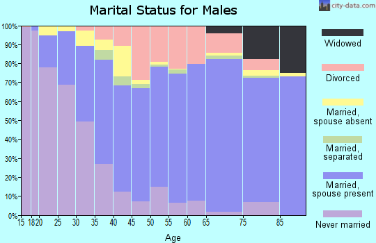 Zip code 34203 marital status for males