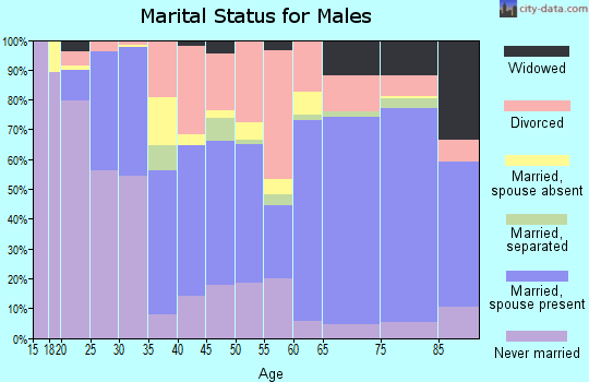 Zip code 34207 marital status for males