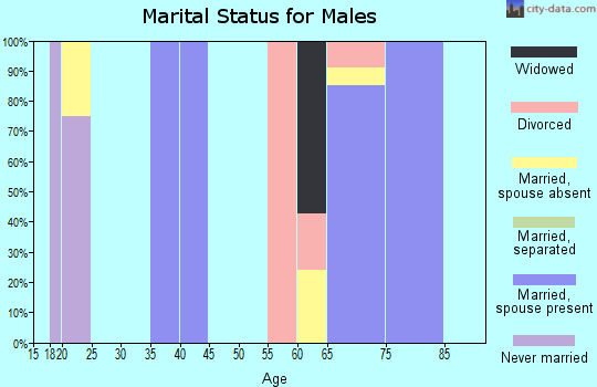 Zip code 34215 marital status for males