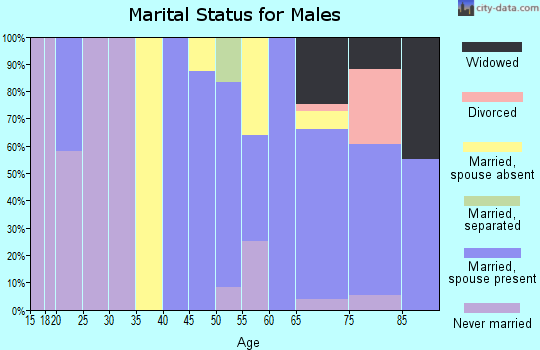 Zip code 34216 marital status for males