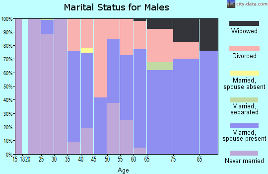 Zip code 34217 marital status for males
