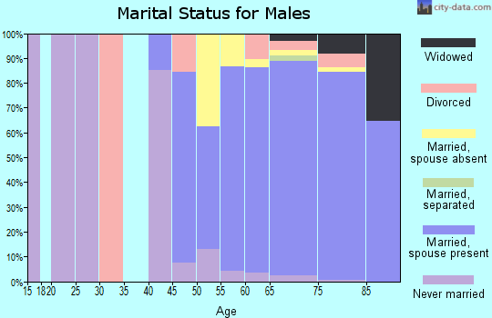 Zip code 34228 marital status for males