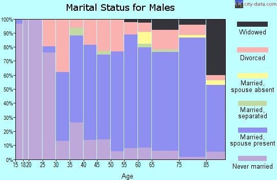 Zip code 34233 marital status for males
