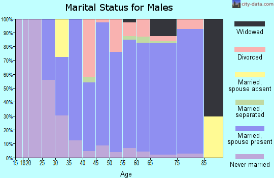 Zip code 34240 marital status for males