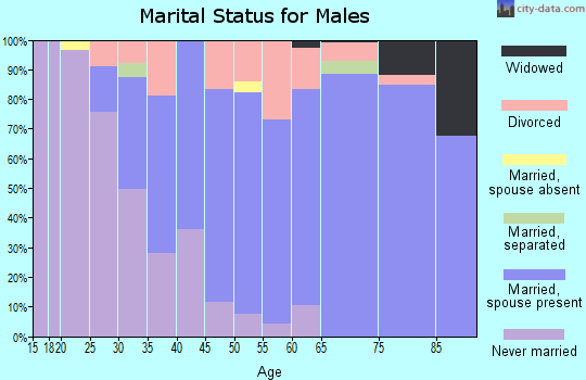 Zip code 34241 marital status for males