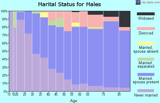 Zip code 34243 marital status for males