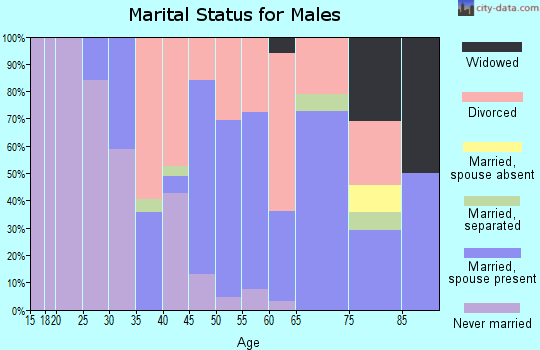 Zip code 34449 marital status for males