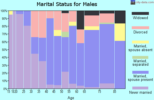 Zip code 34453 marital status for males