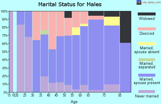 Zip code 34607 marital status for males