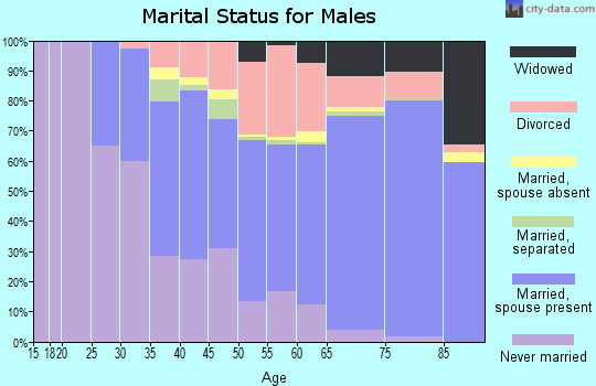 Zip code 34667 marital status for males