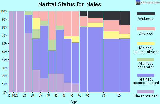 Zip code 34669 marital status for males