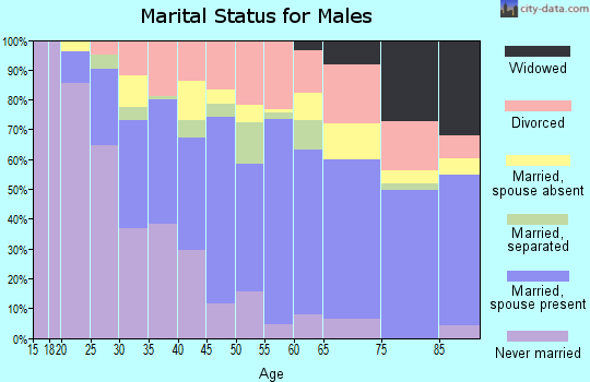 Zip code 34741 marital status for males