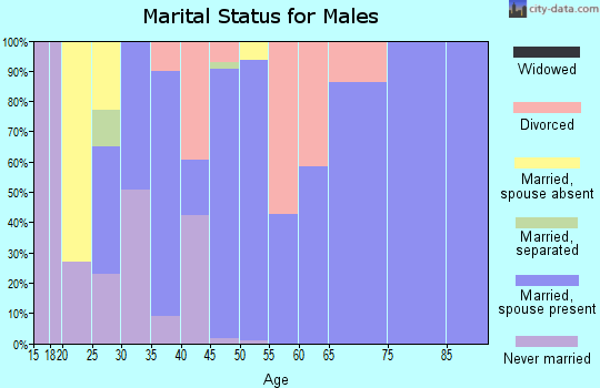 Zip code 34753 marital status for males