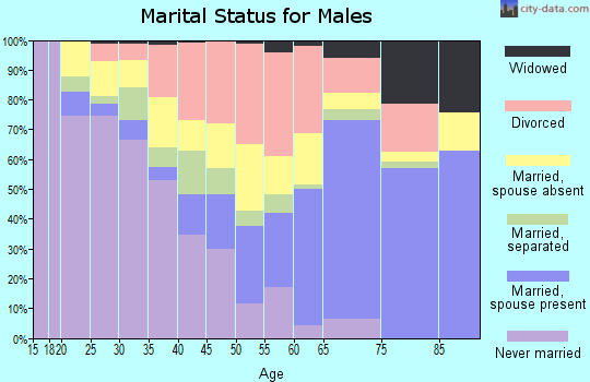 Zip code 34785 marital status for males