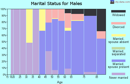 Zip code 34949 marital status for males