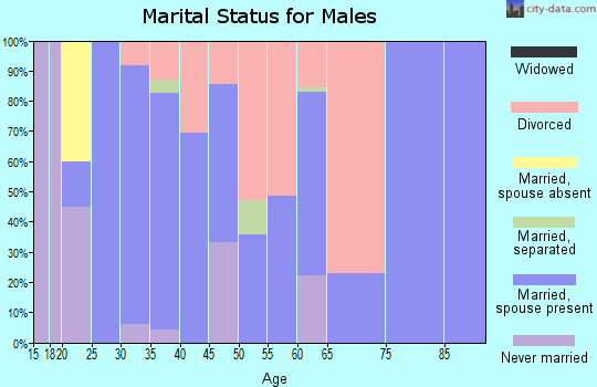 Zip code 35019 marital status for males