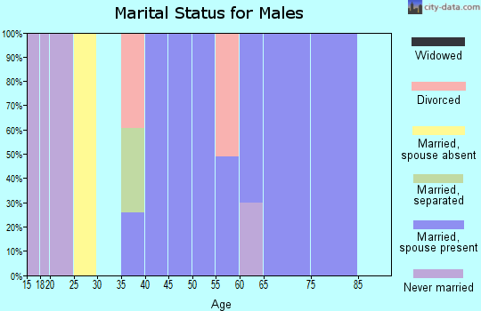 Zip code 35035 marital status for males