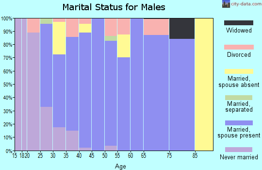 Zip code 35043 marital status for males
