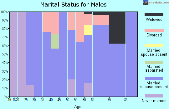 Zip code 35053 marital status for males