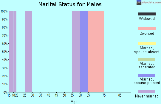 Zip code 35060 marital status for males