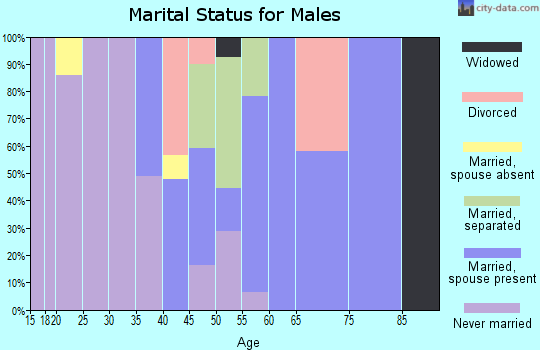 Zip code 35061 marital status for males