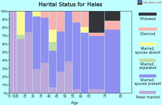 Zip code 35068 marital status for males