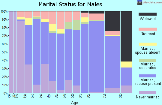 Zip code 35077 marital status for males