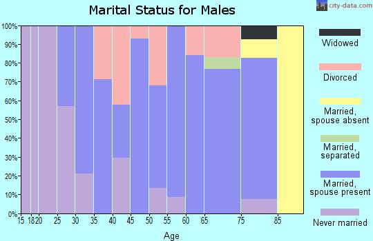 Zip code 35078 marital status for males