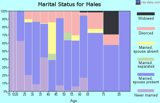 Zip code 35079 marital status for males