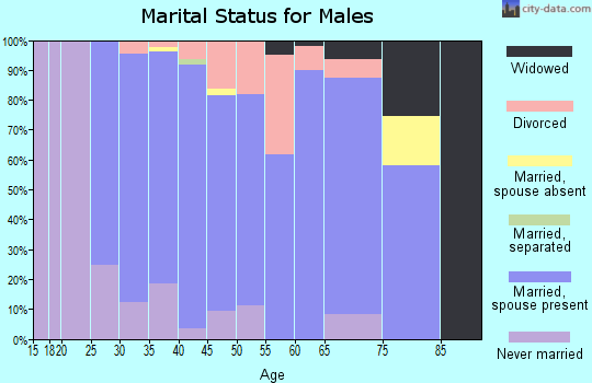 Zip code 35080 marital status for males