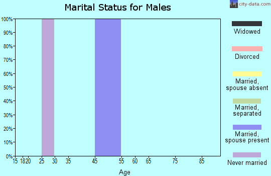 Zip code 35082 marital status for males