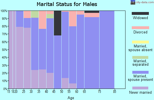 Zip code 35083 marital status for males