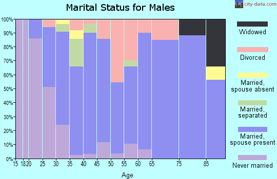 Zip code 35085 marital status for males