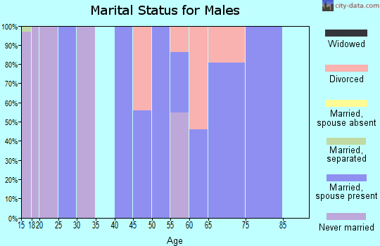 Zip code 35087 marital status for males