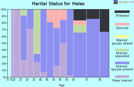 Zip code 35089 marital status for males