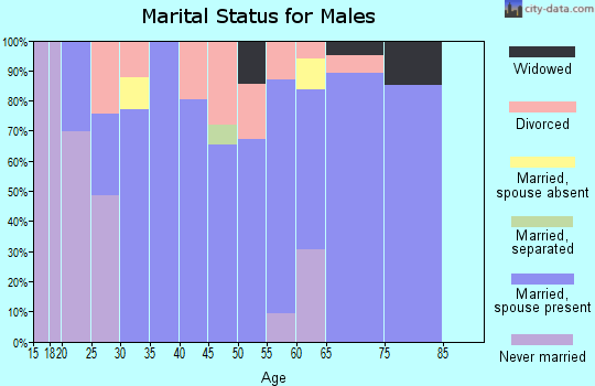Zip code 35091 marital status for males