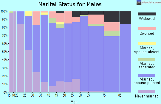 Zip code 35094 marital status for males