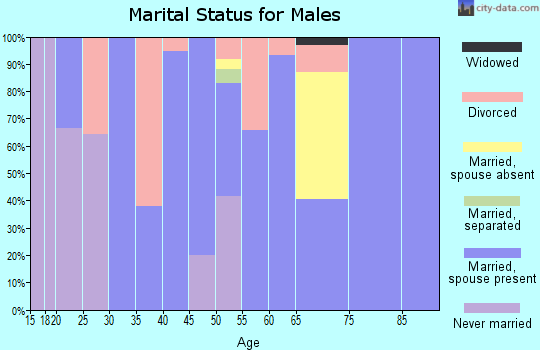 Zip code 35097 marital status for males