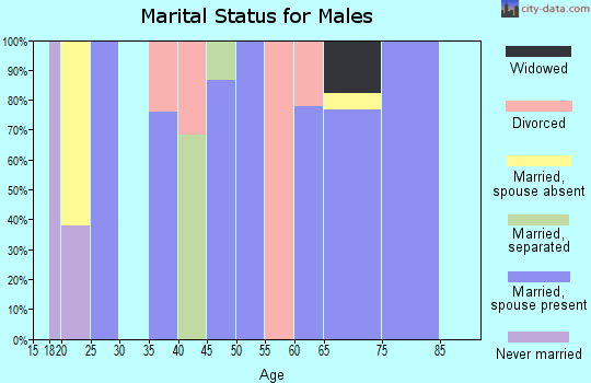 Zip code 35098 marital status for males
