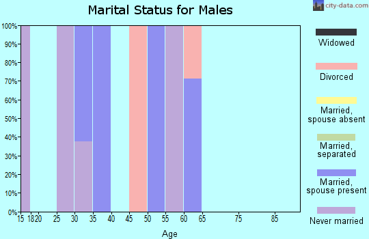 Zip code 35112 marital status for males