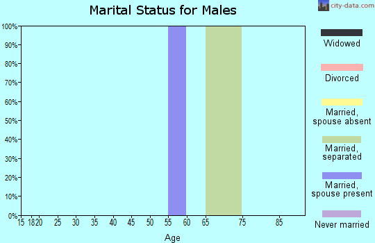Zip code 35119 marital status for males