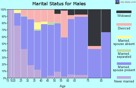 Zip code 35120 marital status for males