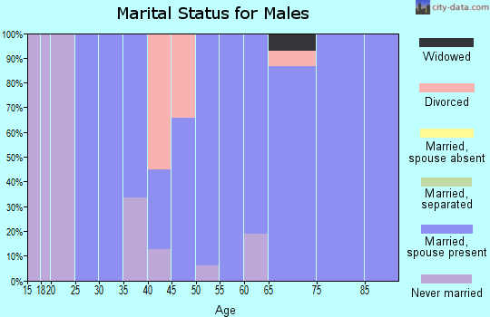 Zip code 35133 marital status for males