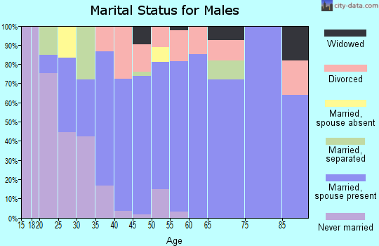 Zip code 35151 marital status for males