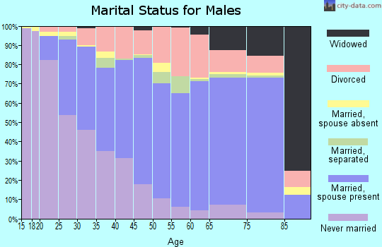 Zip code 35160 marital status for males