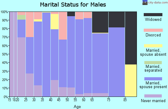 Zip code 35171 marital status for males