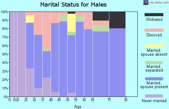Zip code 35172 marital status for males