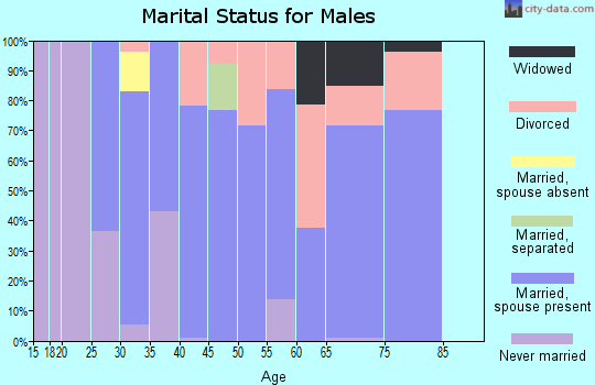 Zip code 35175 marital status for males