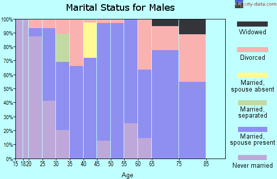 Zip code 35178 marital status for males